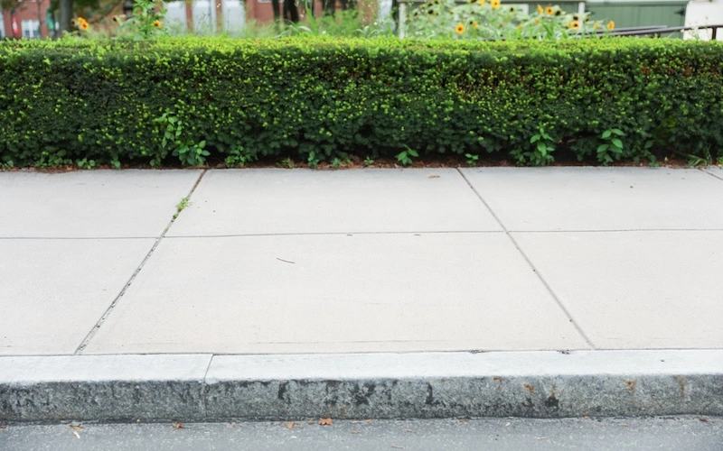 sidewalk concrete with bush in the background